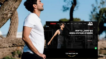 איציק אלון